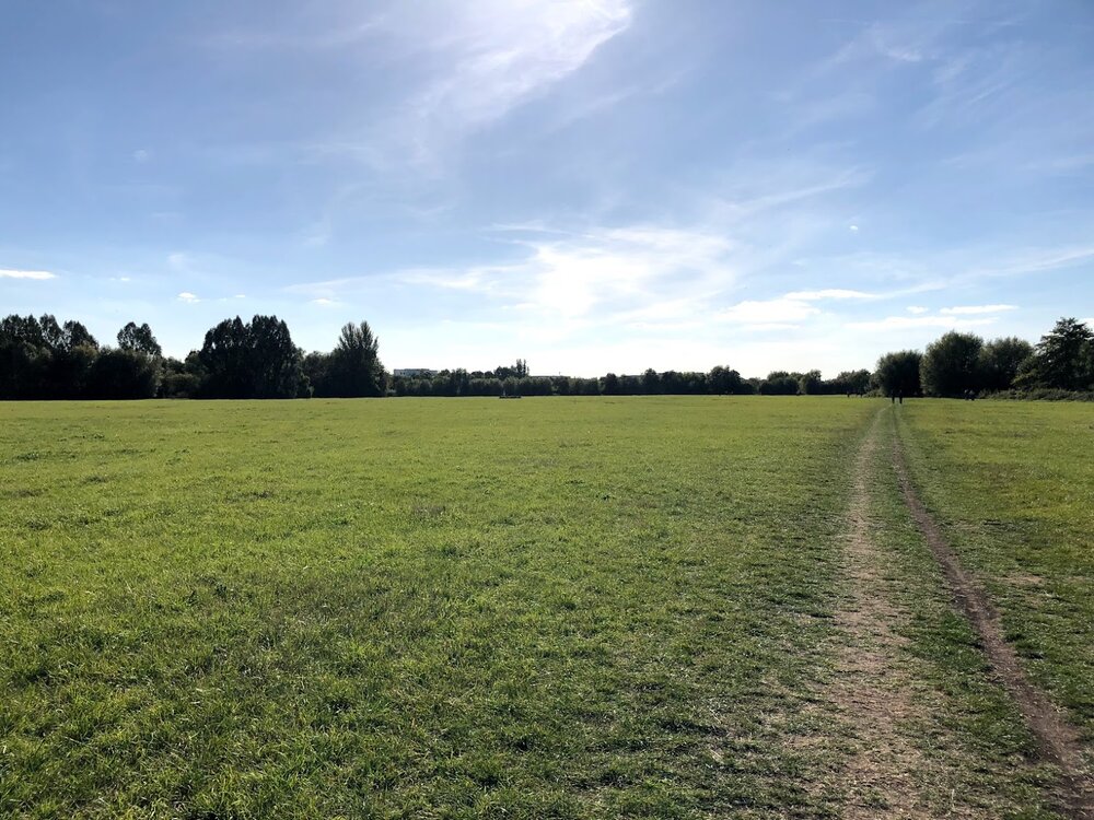 Park in Reading