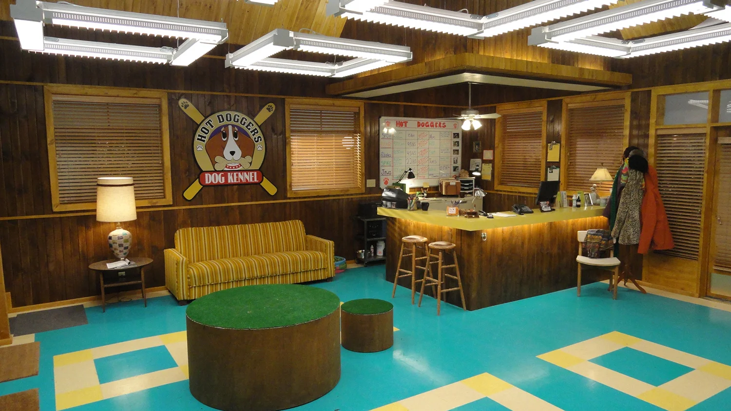 A reverse of the shabby dog spa showing the counter.