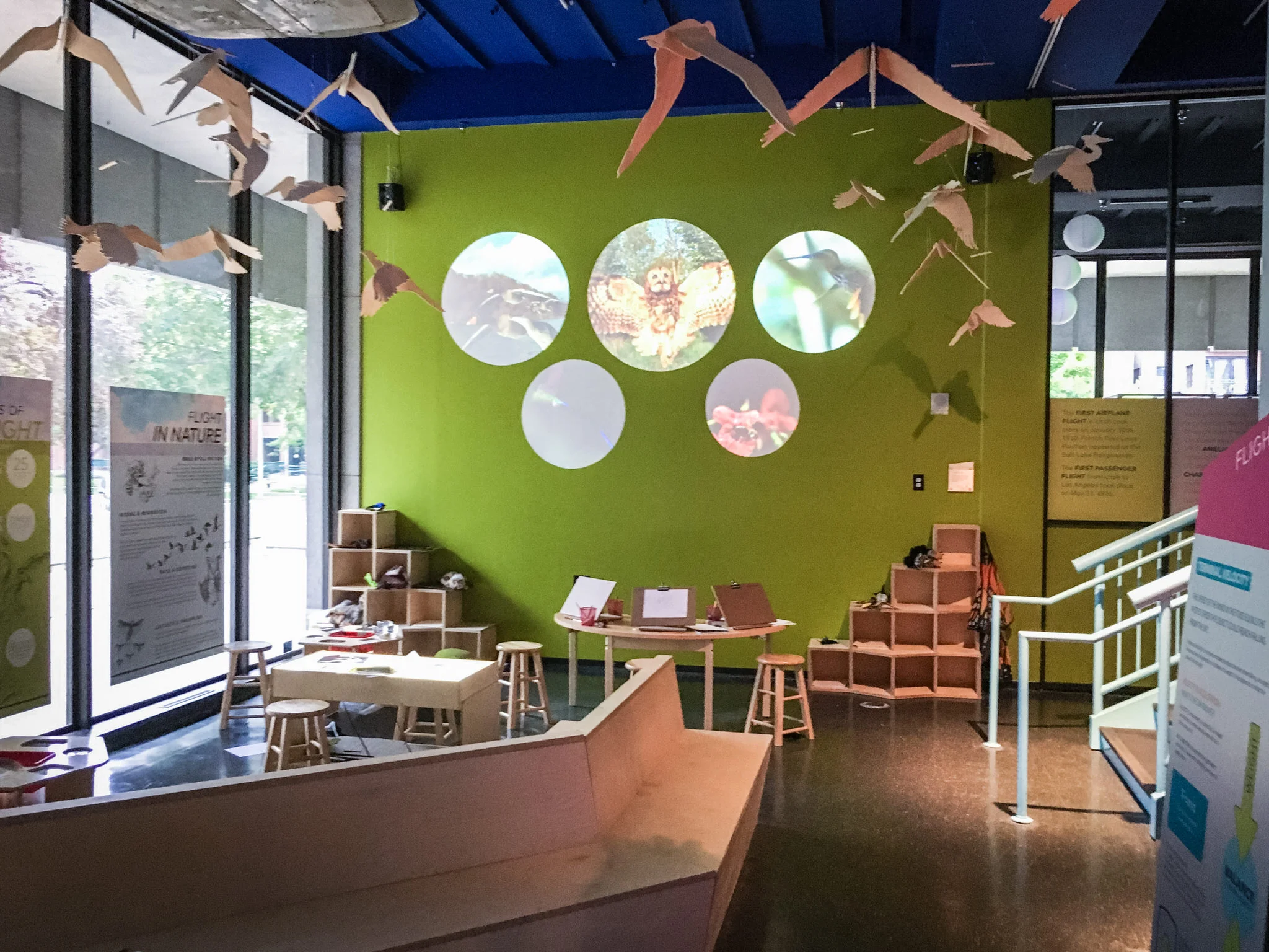 As a family oriented institution, the Leonardo is always concerned for the needs of younger visitors. The section on animal flight was a natural place for parents and young ones to rest and play. Split circular screens play amazing, super-slow motion animal flight footage.