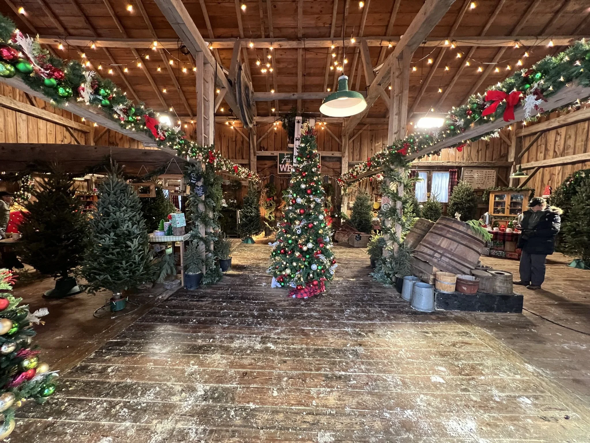  The interior of the Christmas tree farm barn. 