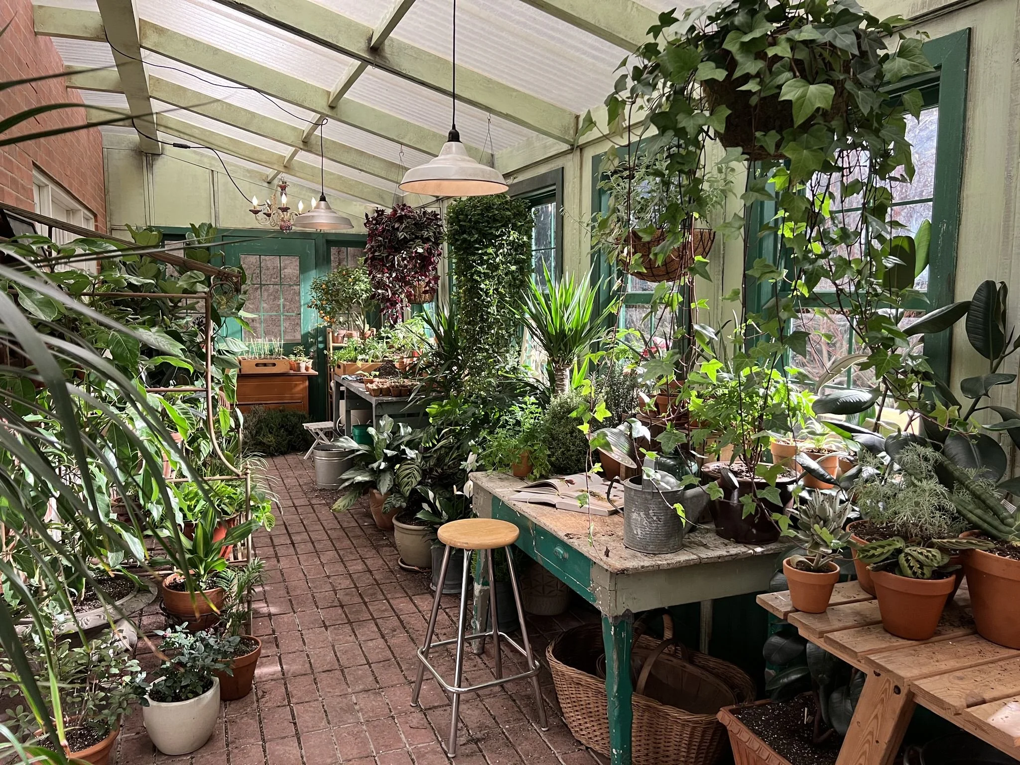  A view of the greenhouse Kate built onto the back of her house. This served an extremely practical purpose for shooting as well. We connected the greenhouse with wide French doors into the house, creating a strong source of daylight inside what coul