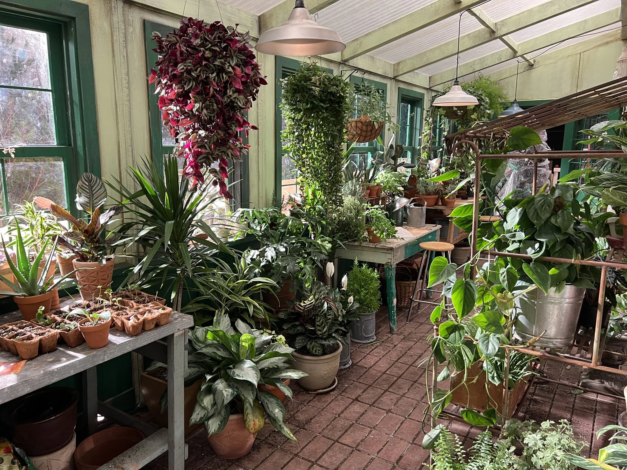  The reverse of Kate’s greenhouse. 