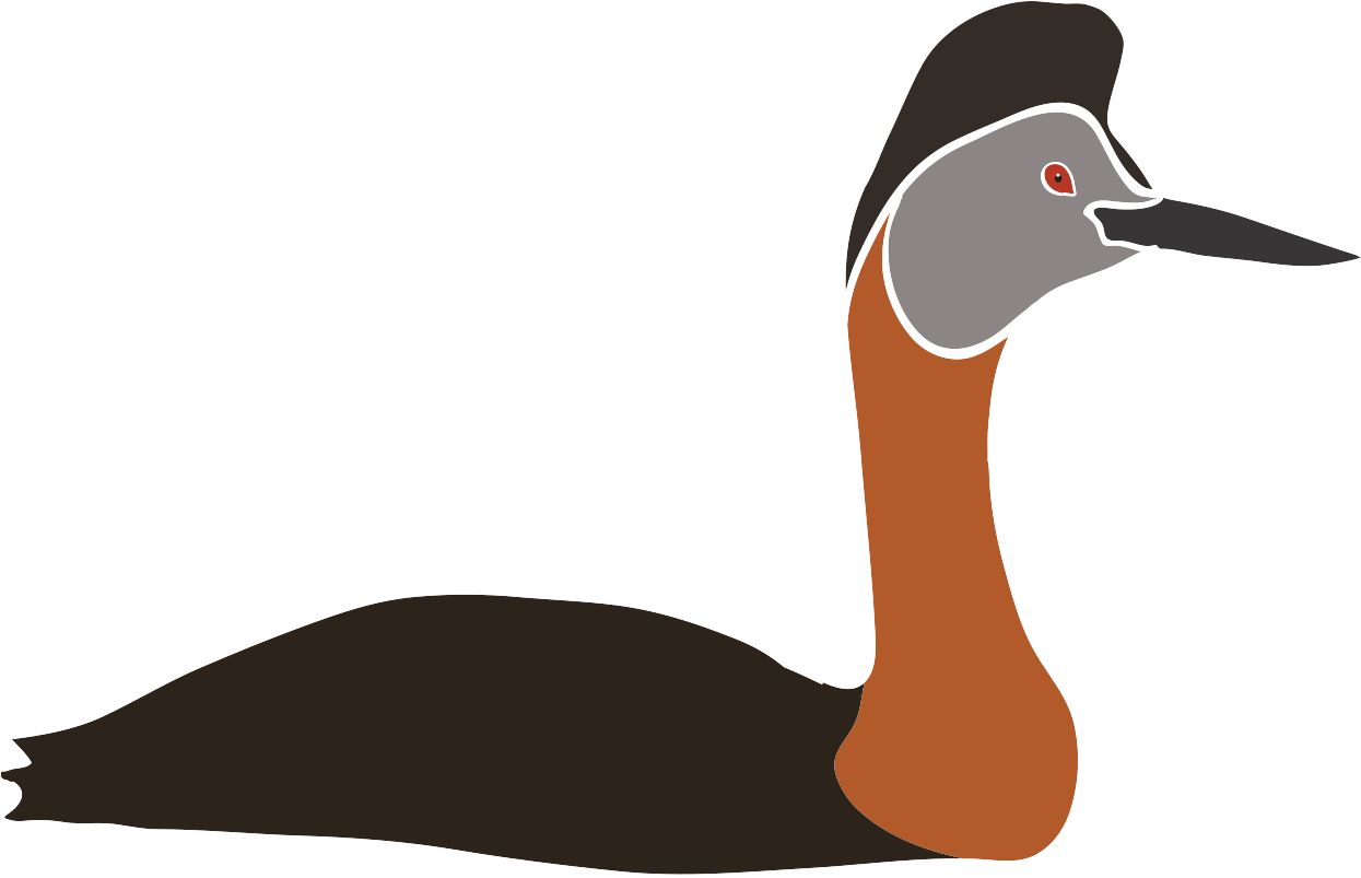 Great Grebe