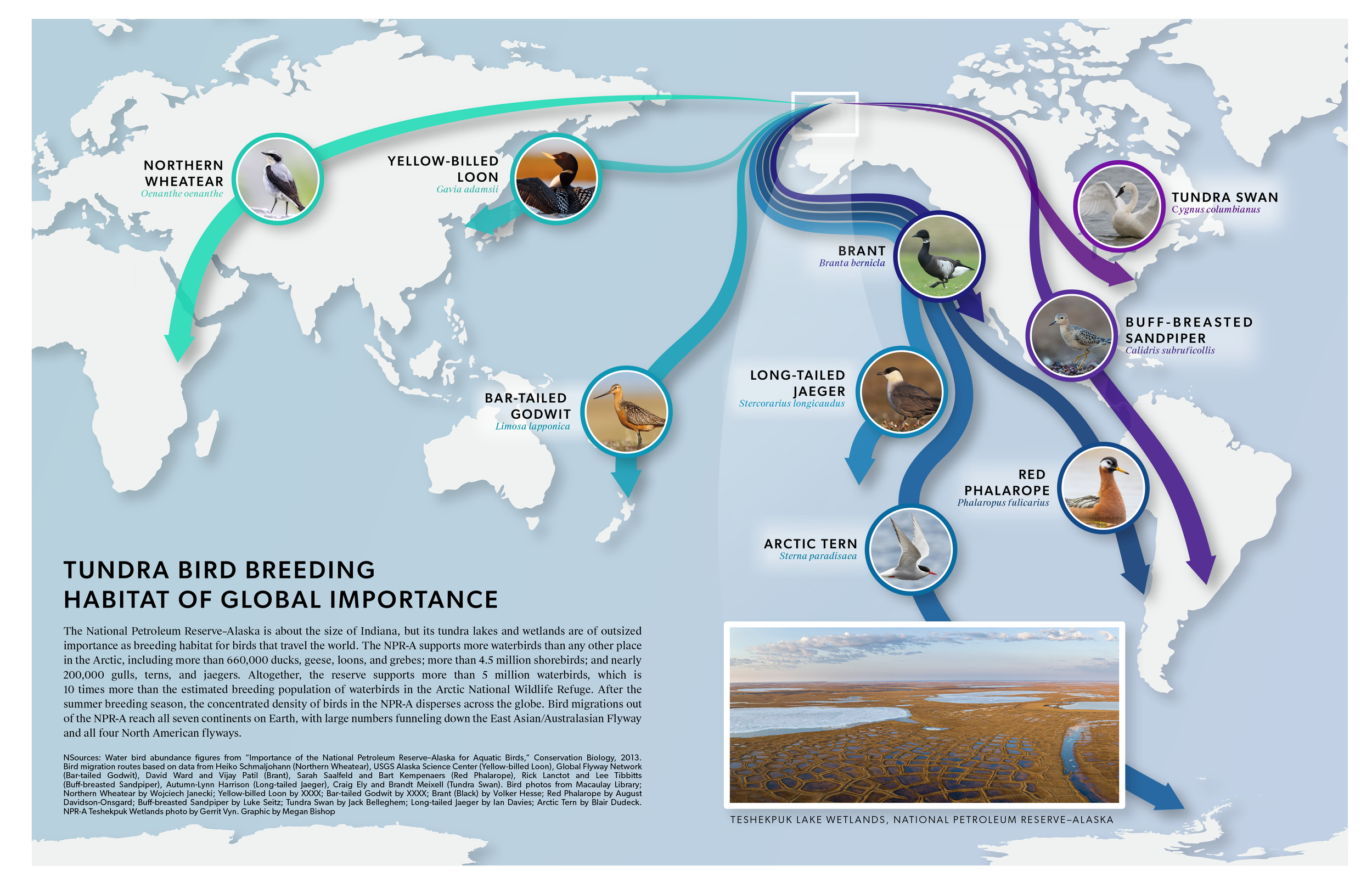Spring Migration_MapCLOO_Prelim Final 3A-01.png