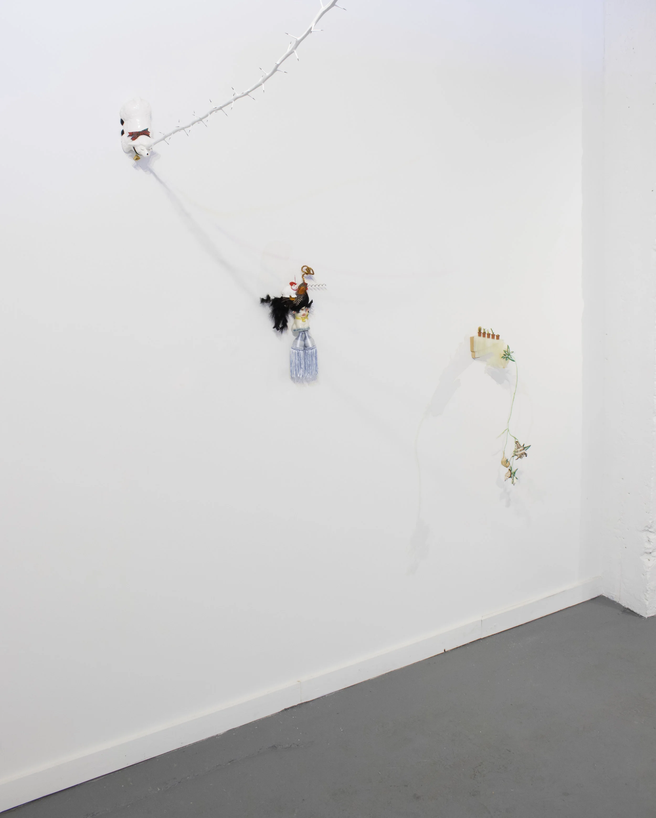 Alyssa Danna (installation view)