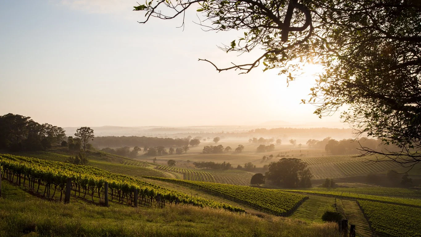 Planning an Intimate Hunter Valley Wedding: Micro-Venues &amp;amp; Private Dining Spots