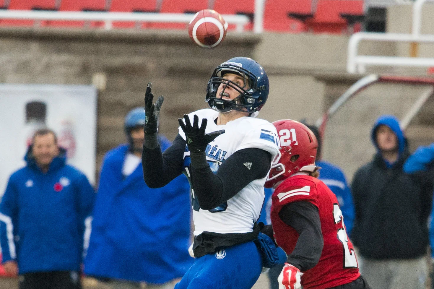Carabins