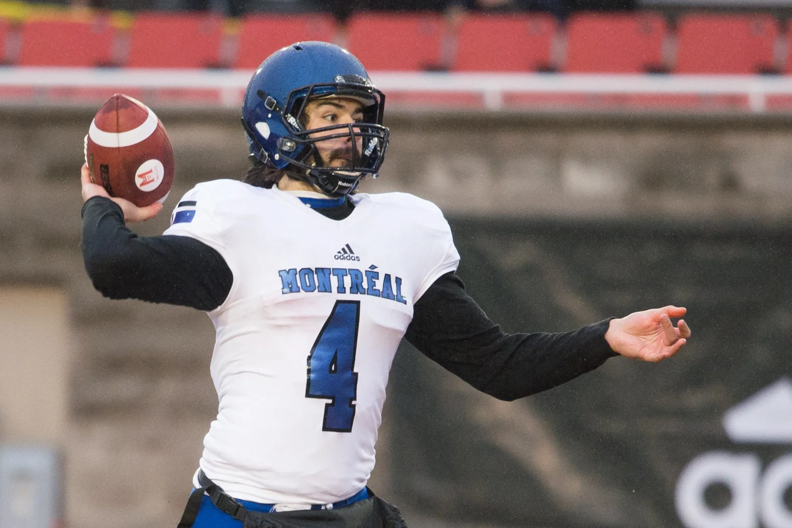 Carabins