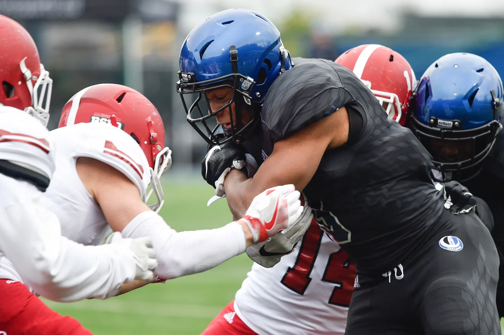 Sport - Carabins
