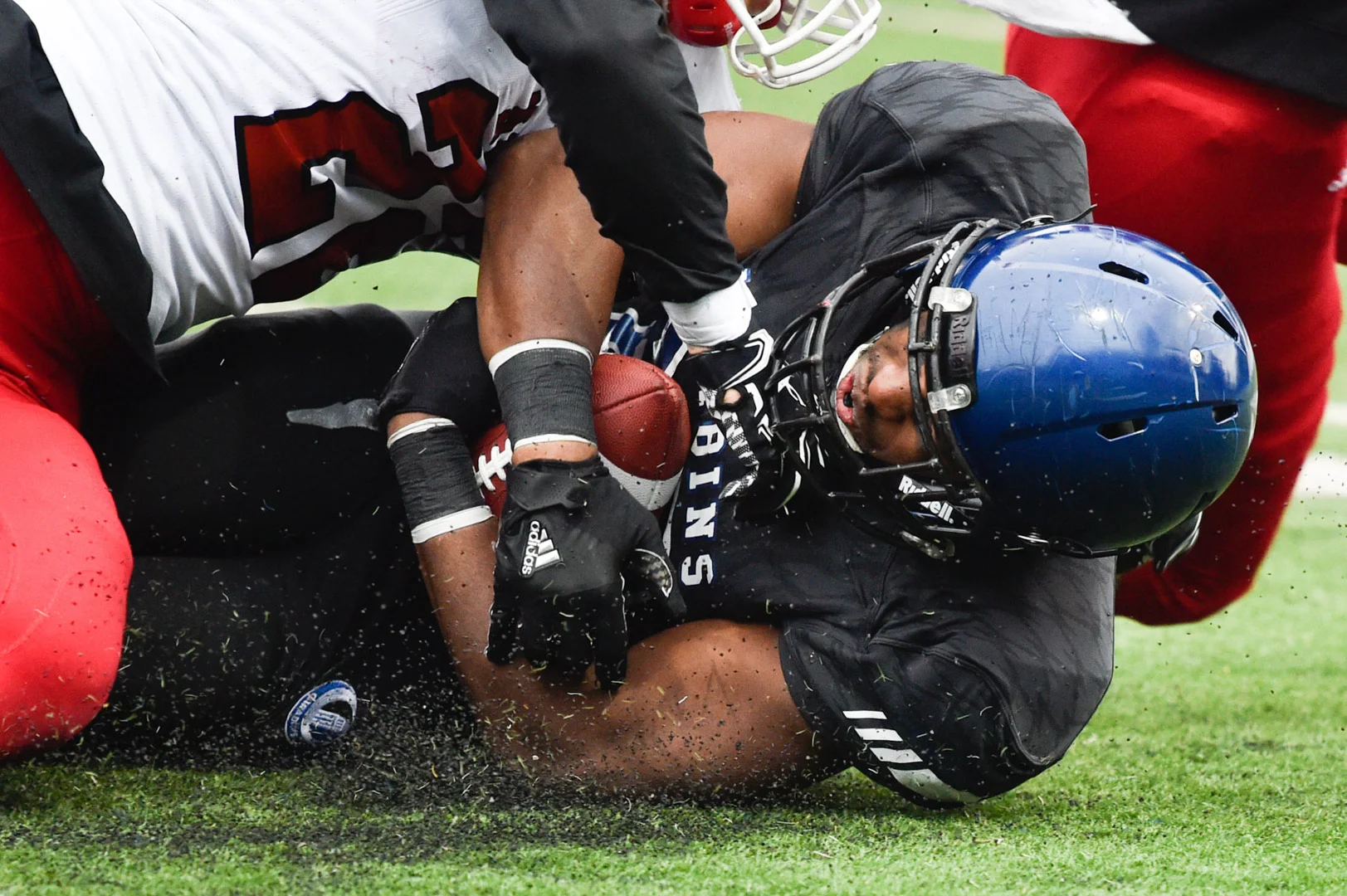 Sport - Carabins