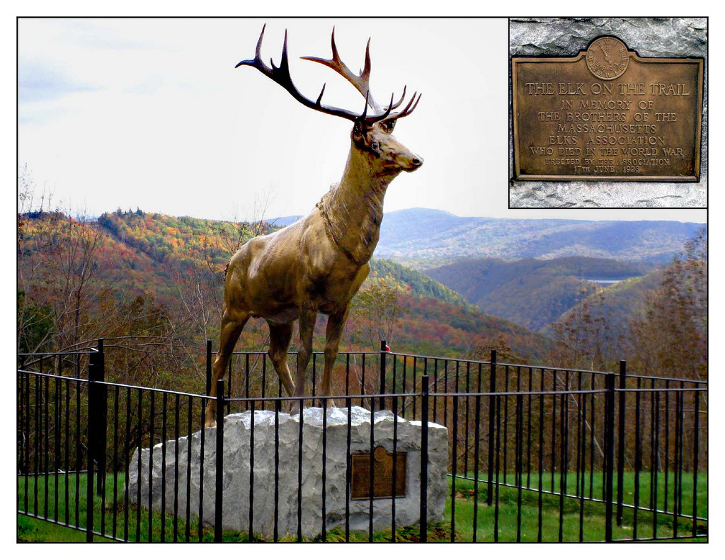 The Elk on the Mohawk Trail.jpg