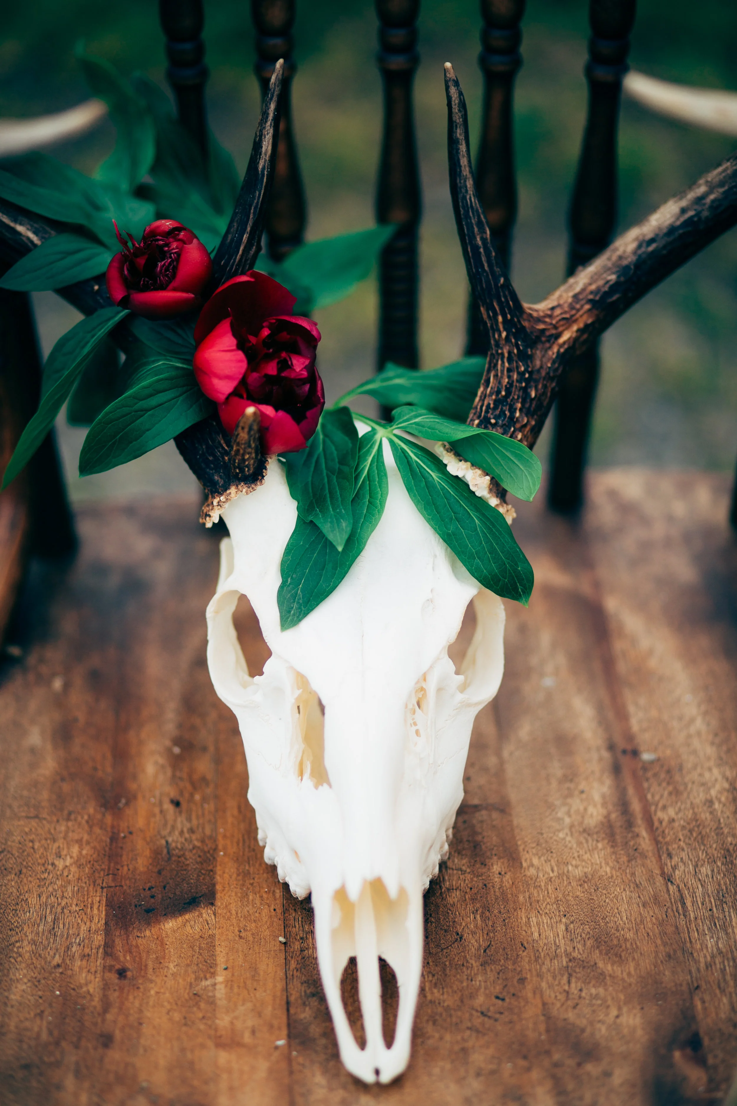 Red Cape Styled Shoot - 052.jpg