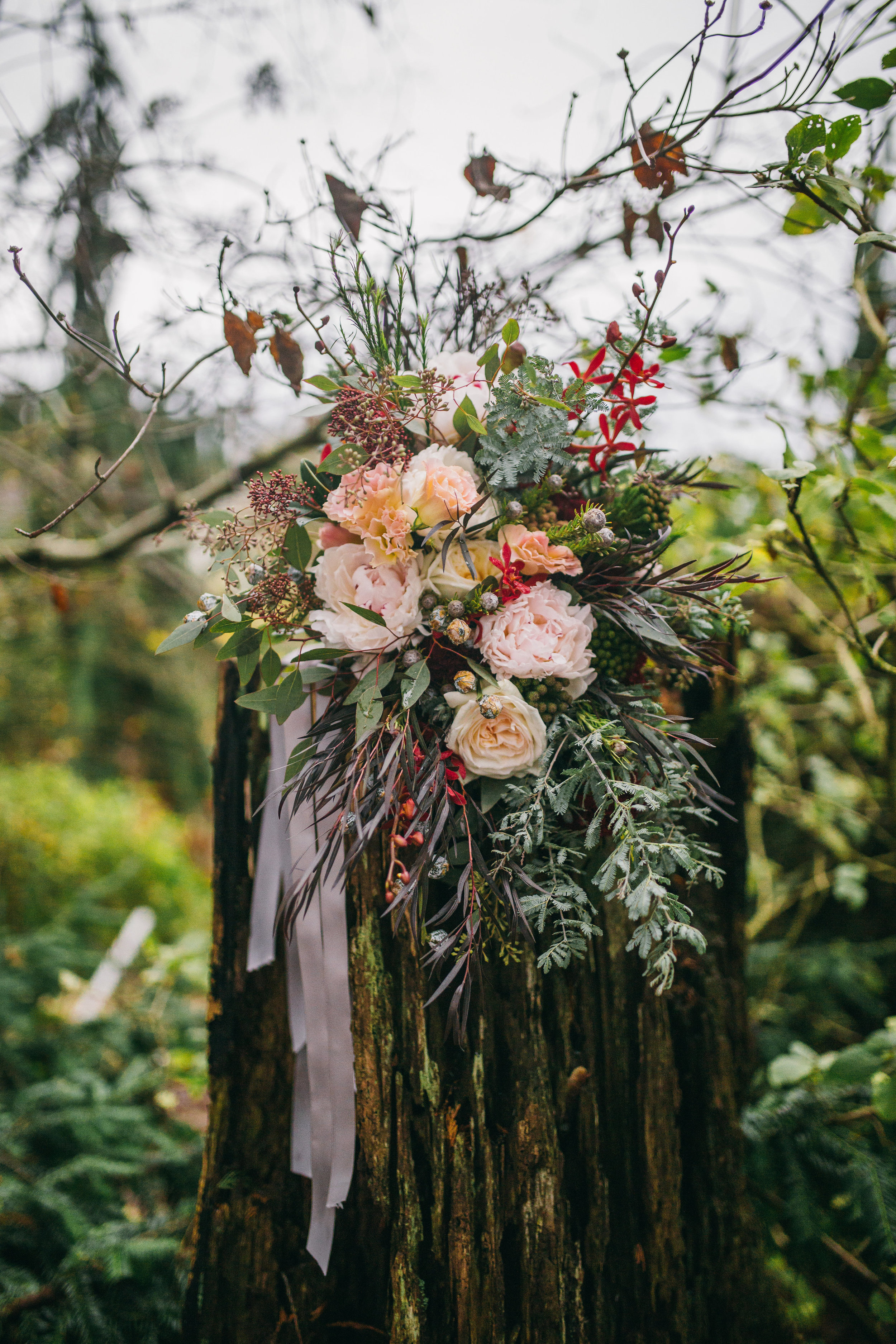 Forest Styled Shoot-Submission-0174.jpg