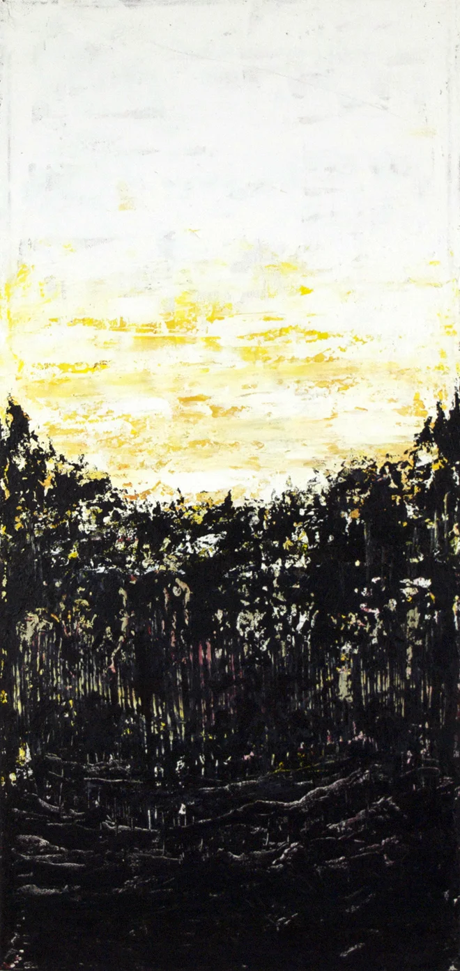 BlackForest.jpg