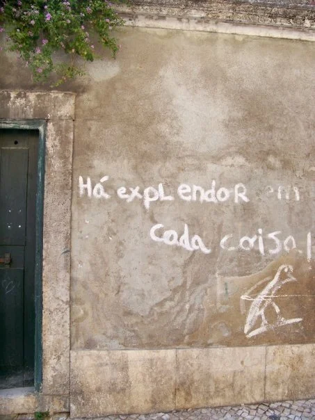 Ha explendor em cada coisa.jpg