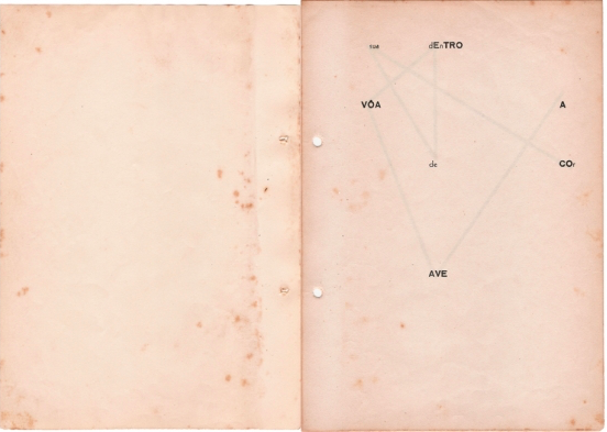 Wlademir Dias-Pino, A Ave (1953-56)