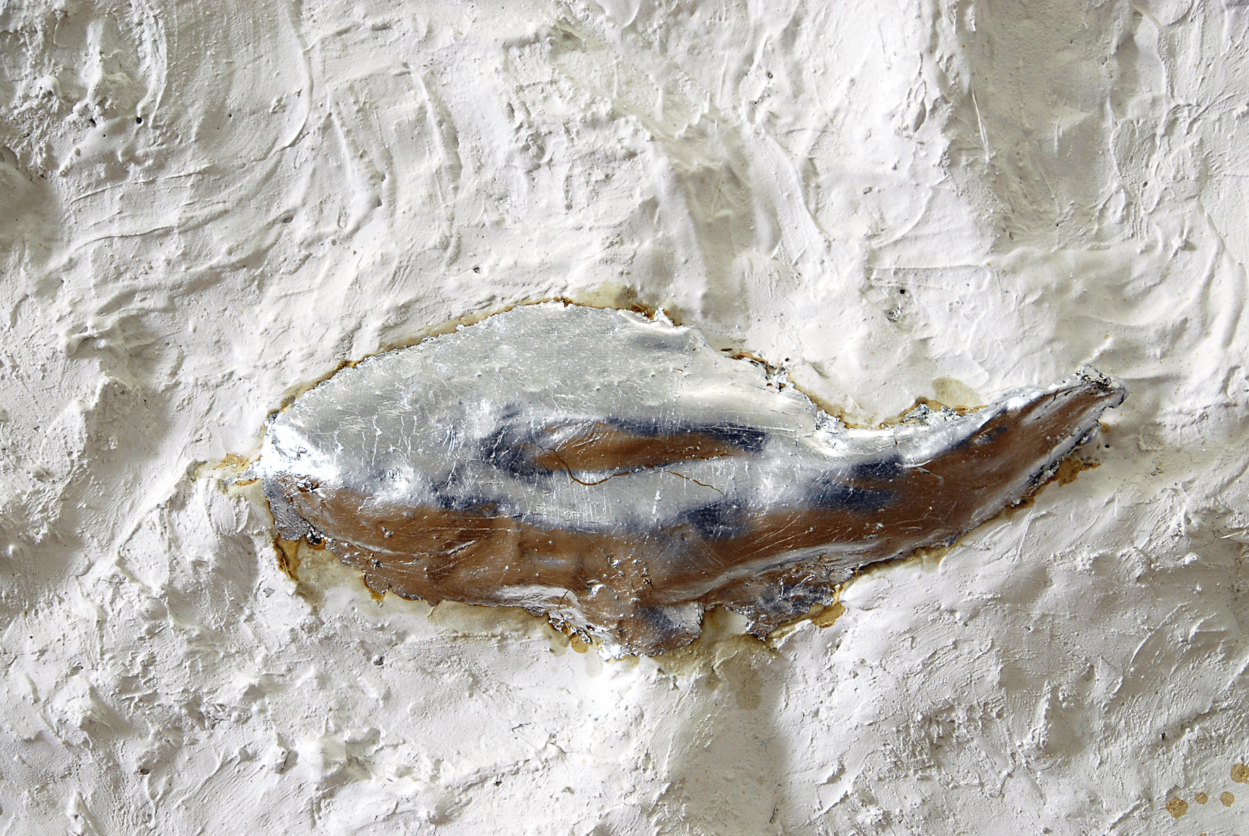 R8 Peixe, gesso e folha de prata, 2011.jpg