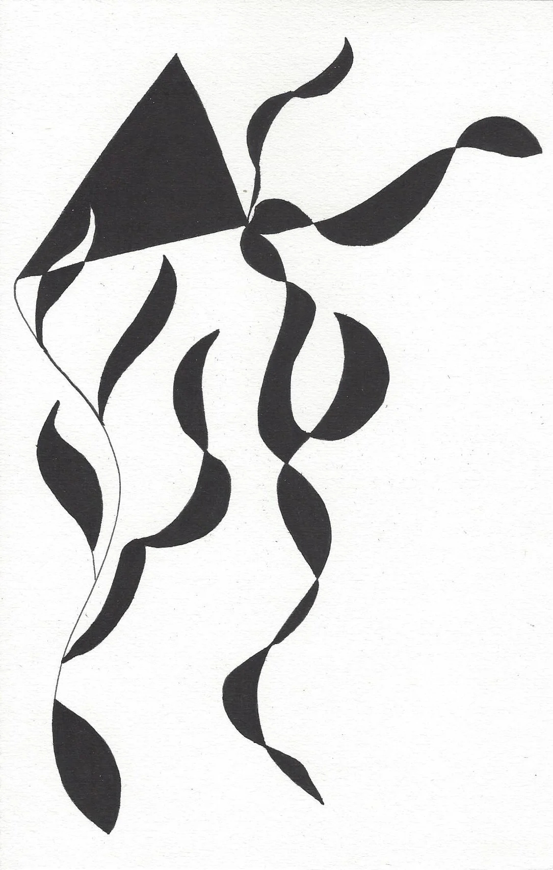 Scan0007.jpg