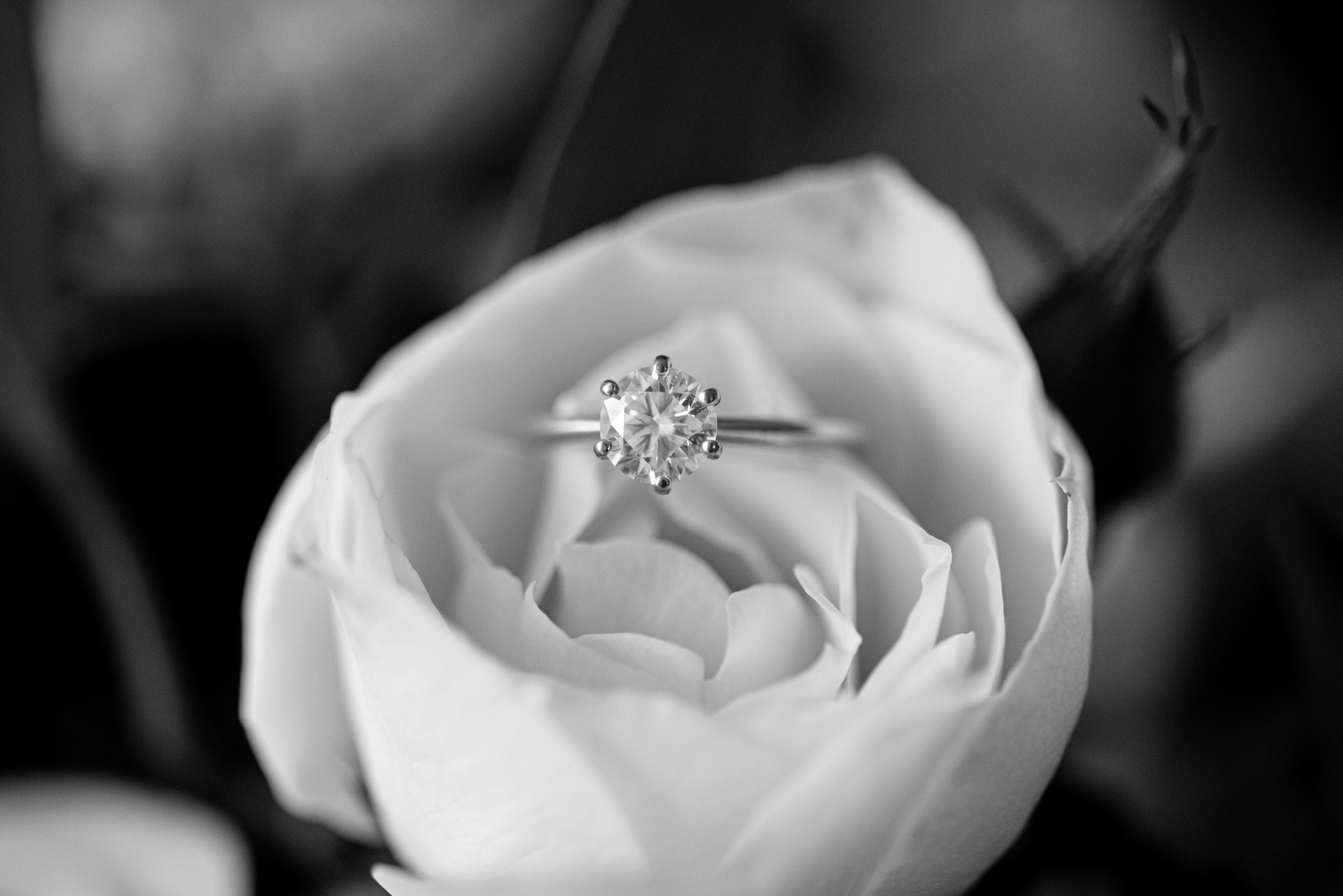 brisbane-gold-coast-sunshine-coast-romantic-wedding-photographer-4.jpg