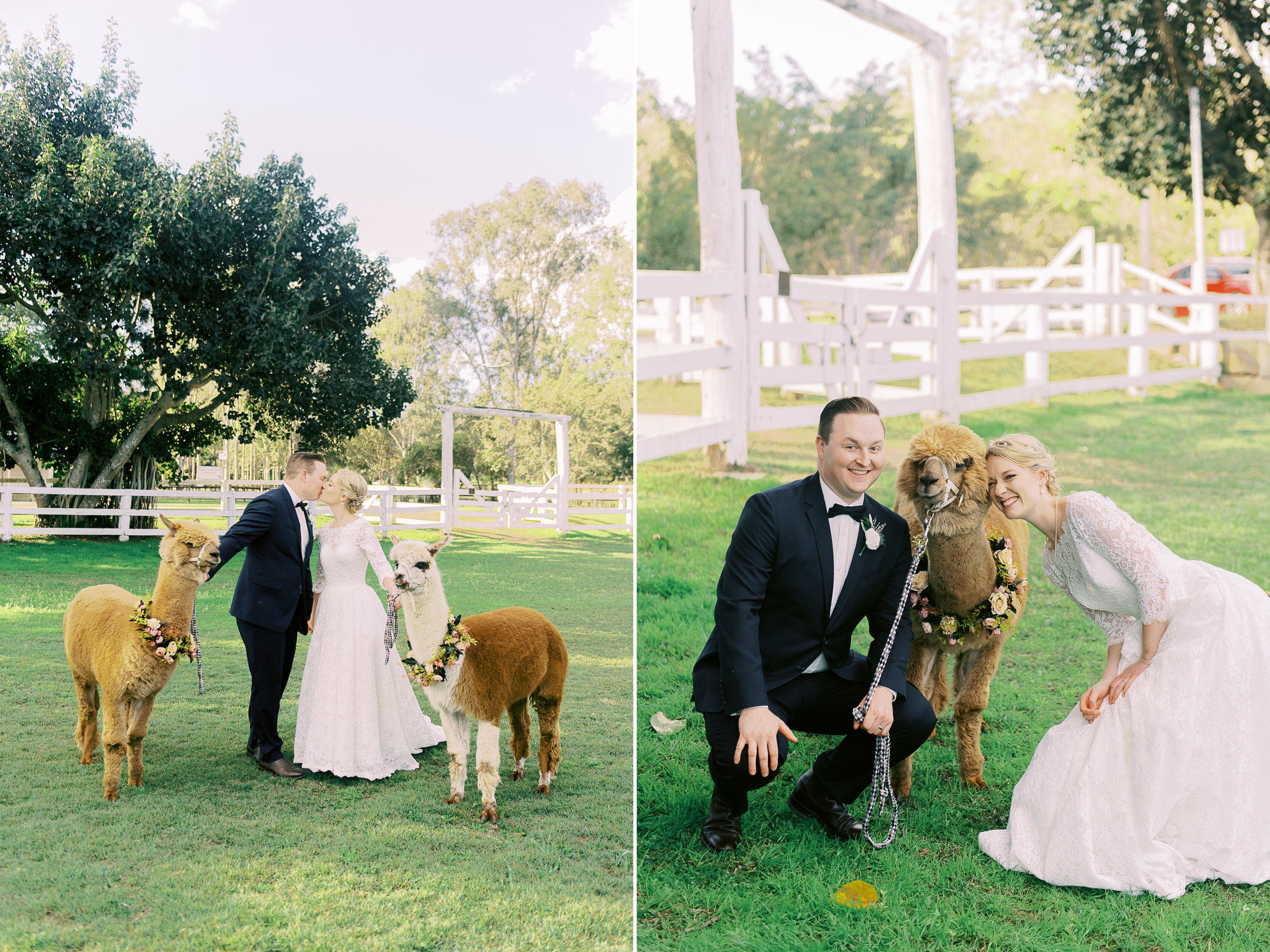 brisbane-city-fine-art-photography-brookfield-hall-wedding-alpacca-1.jpg