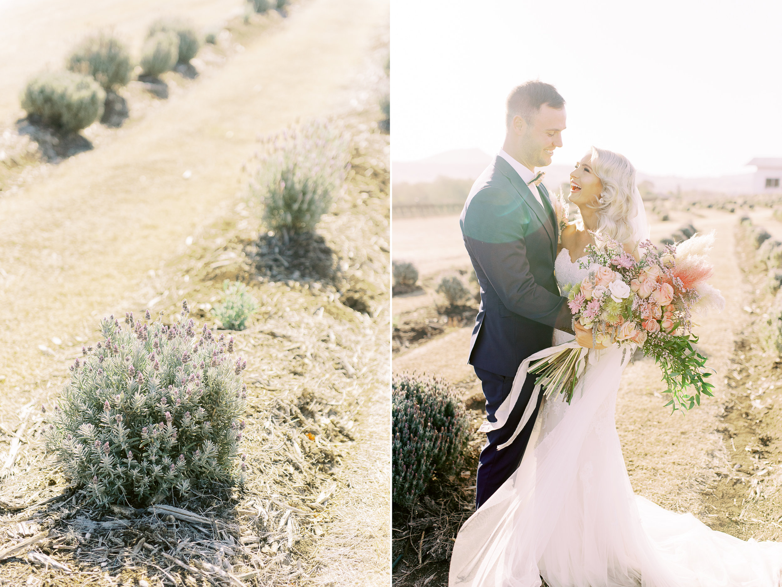 kooroomba-lavendar-farm-film-photography-wedding-photography-romantic-21.jpg