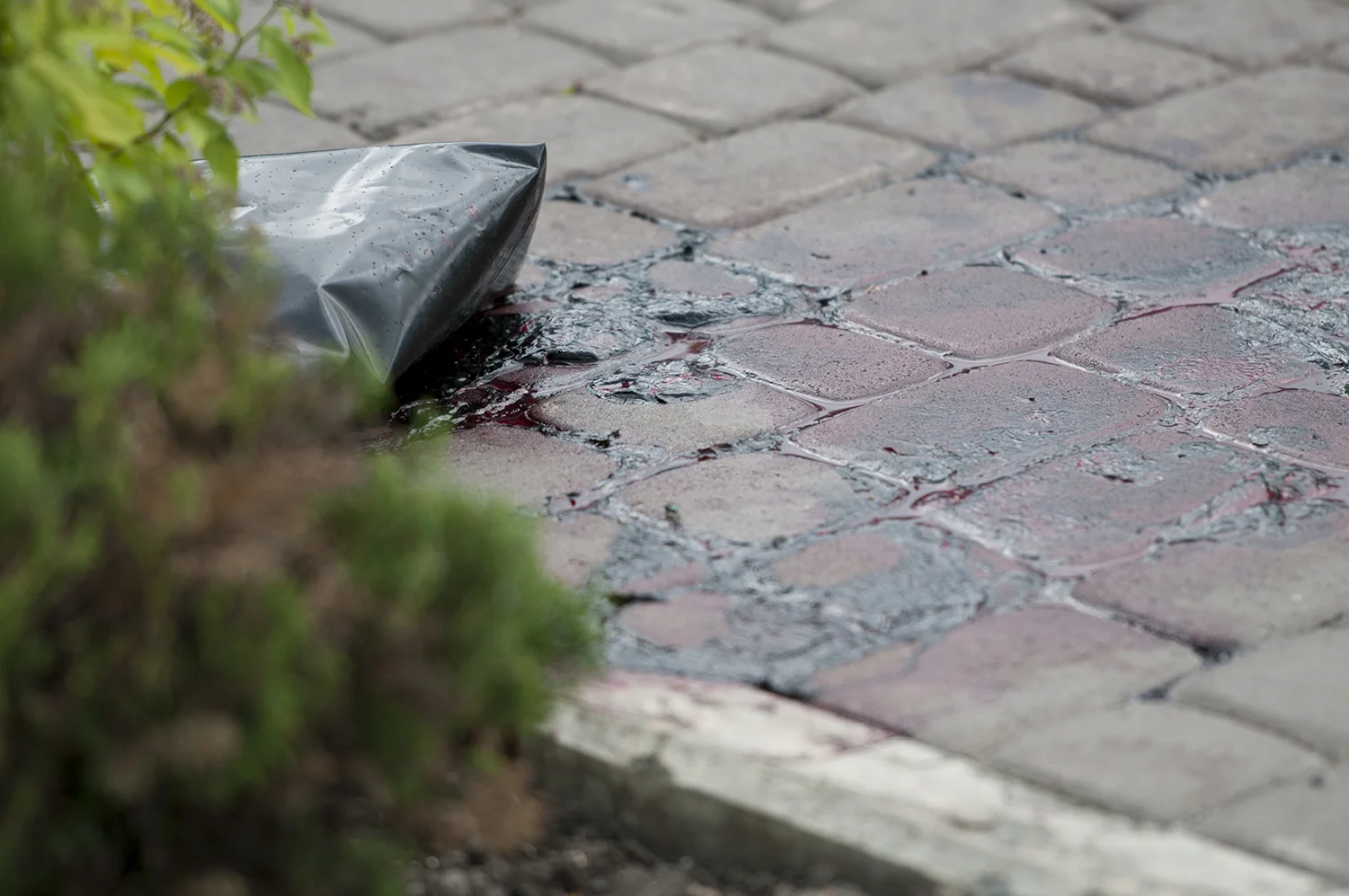 Blood stains on the ground after the corps of the victim was finally taken away. The body stayed for at least a couple of hours before being evacuated 