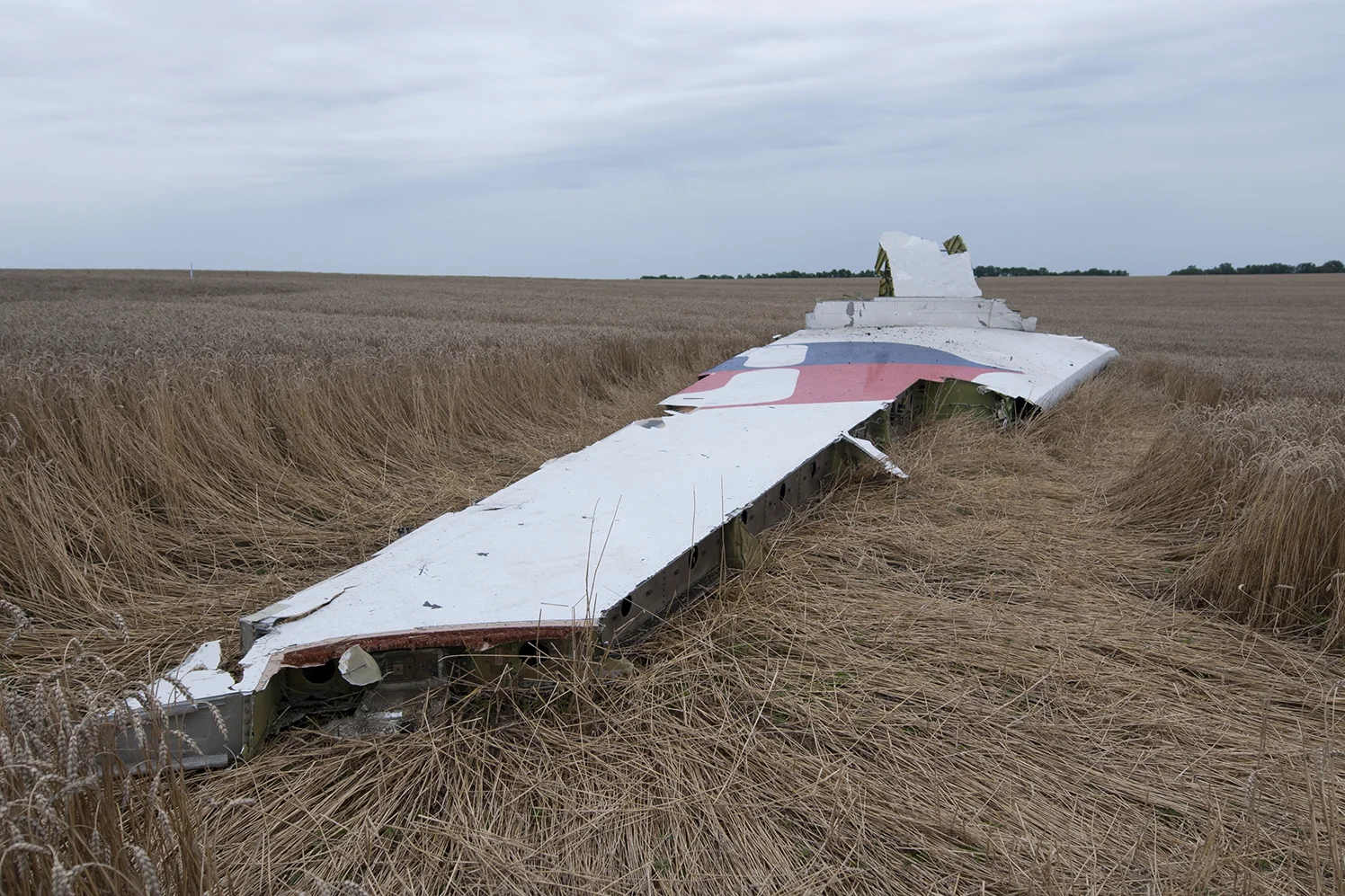 A part of the resting in the middle of a field