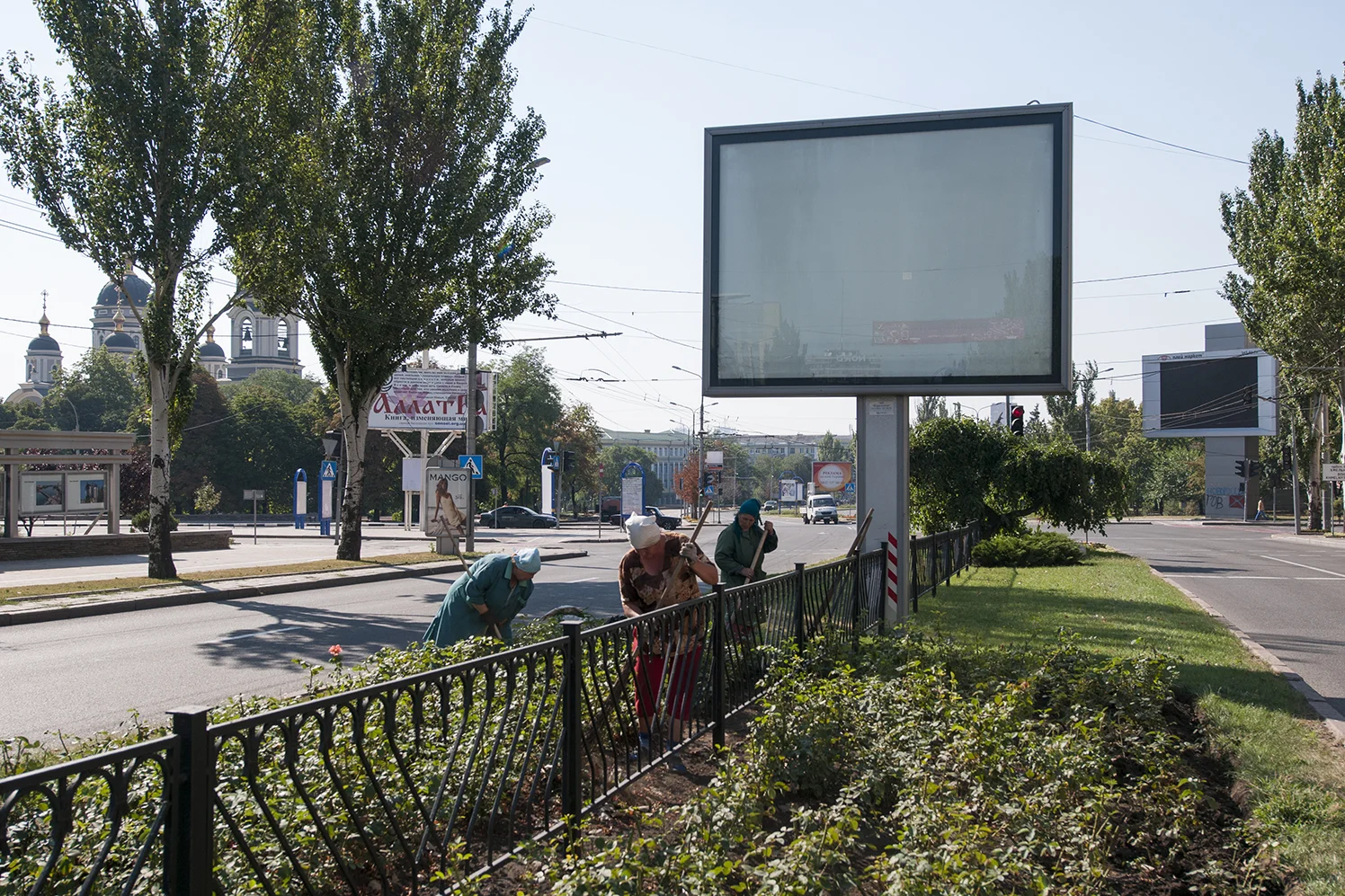 City workers gardening on Artema Street