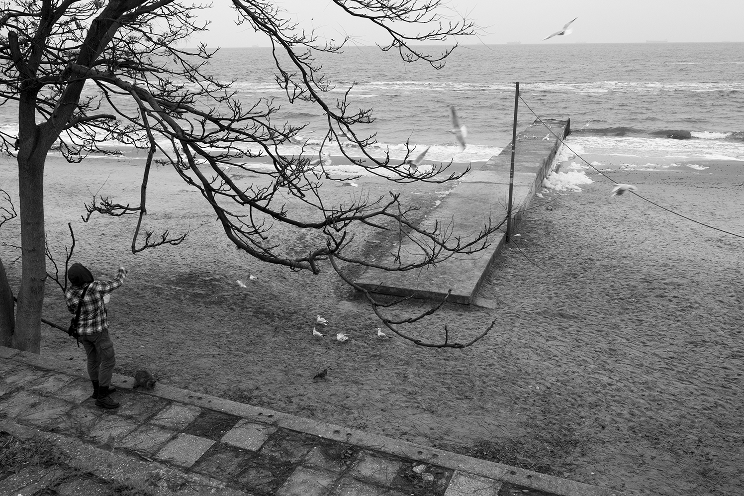 Teenager feeding the seagulls 