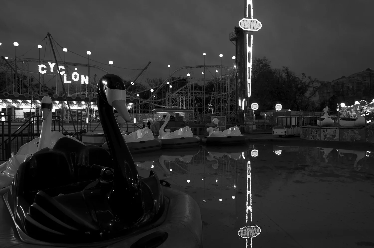 Swan sitting peacefully on the a pool in the middle of the near empty Fair
