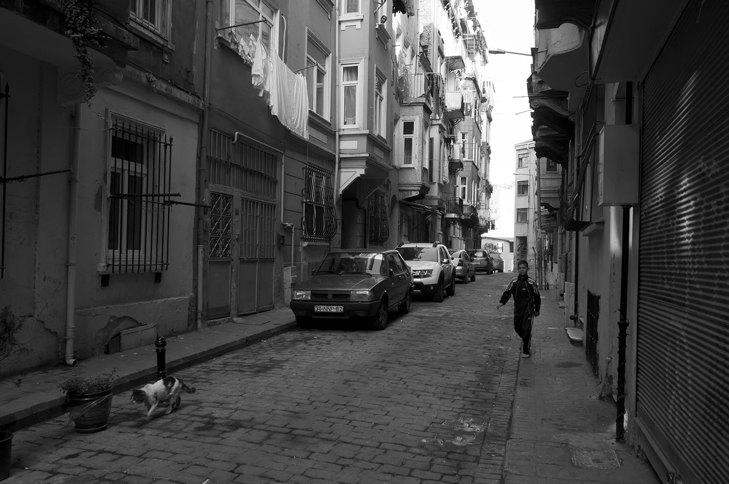 Young boy walking after a cat in the streets of Beyoğlu district