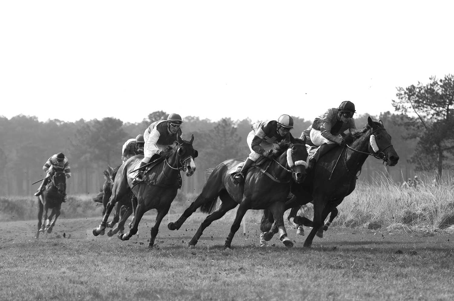 The jockey David Cottin fighting to keep his position.