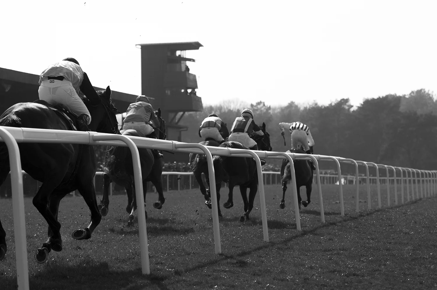 Hippodrome of Blain.