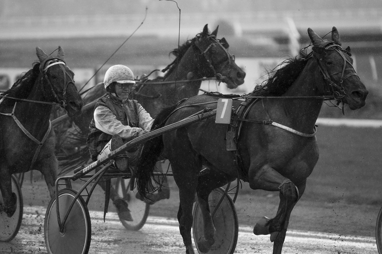 The driver S. Beaucamp and his horse Una Maris in the middle of a rainy harness race.