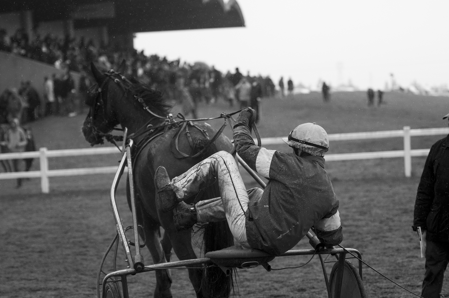 The driver A. Wiels getting off his sulky pulled by Ulysse de la Manza after finishing their race.