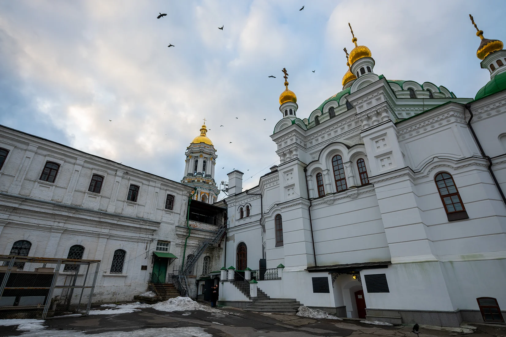 Crows flying overhead Assumption Cathedral