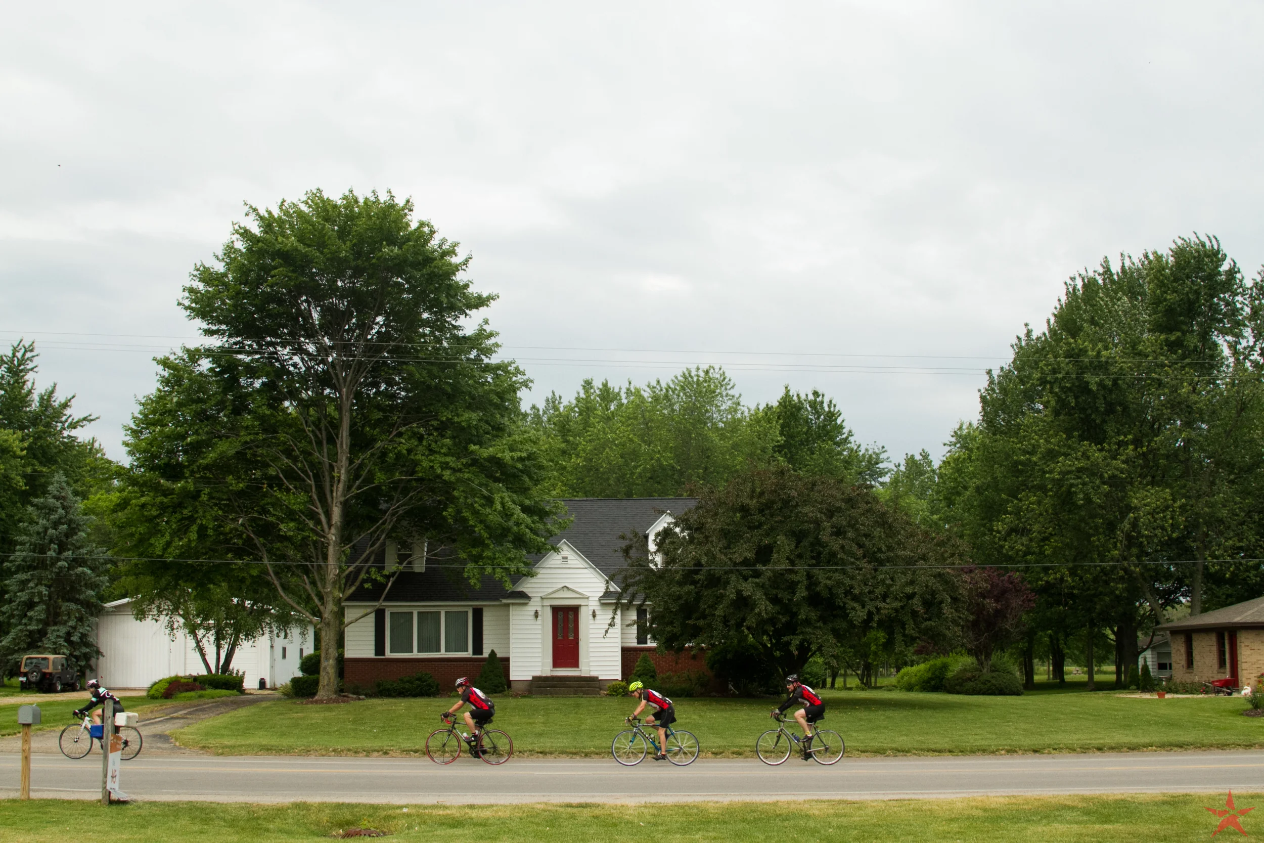 RED_0260.jpg