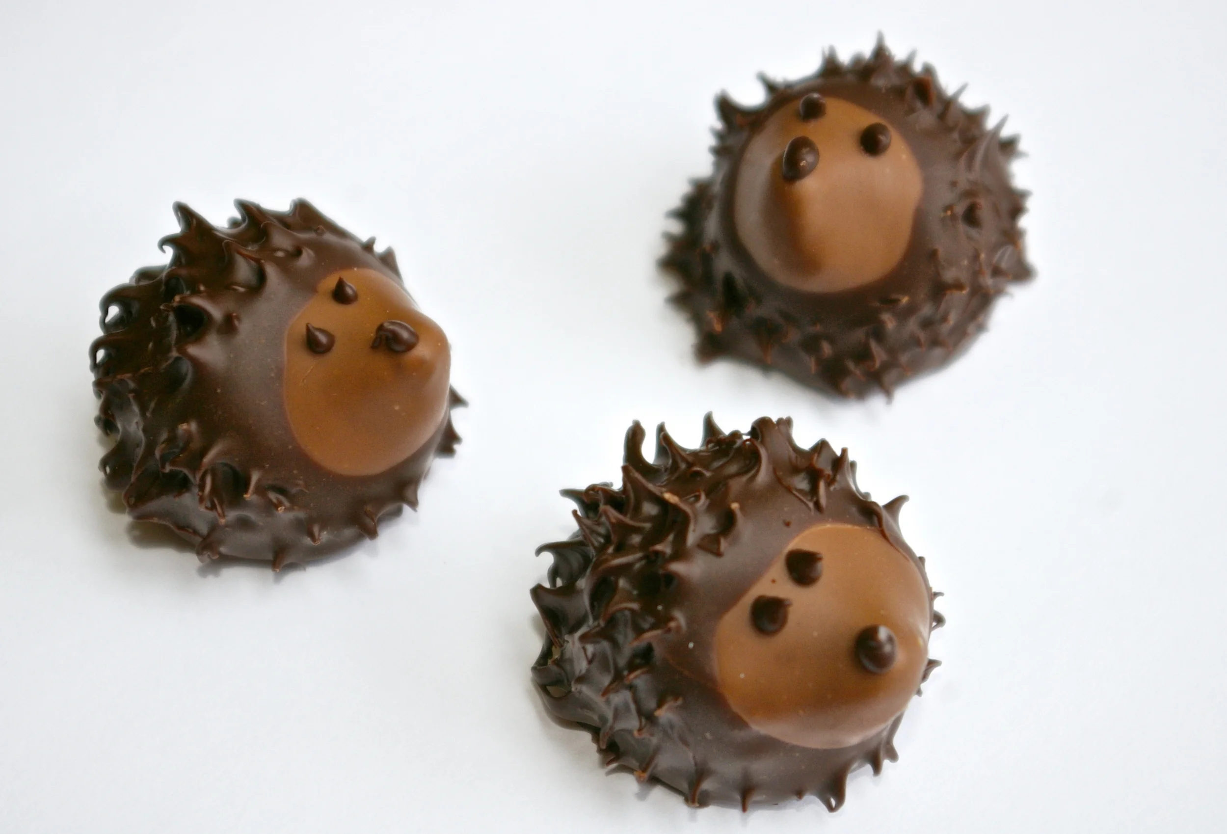 Thanksgiving Hedgehogs