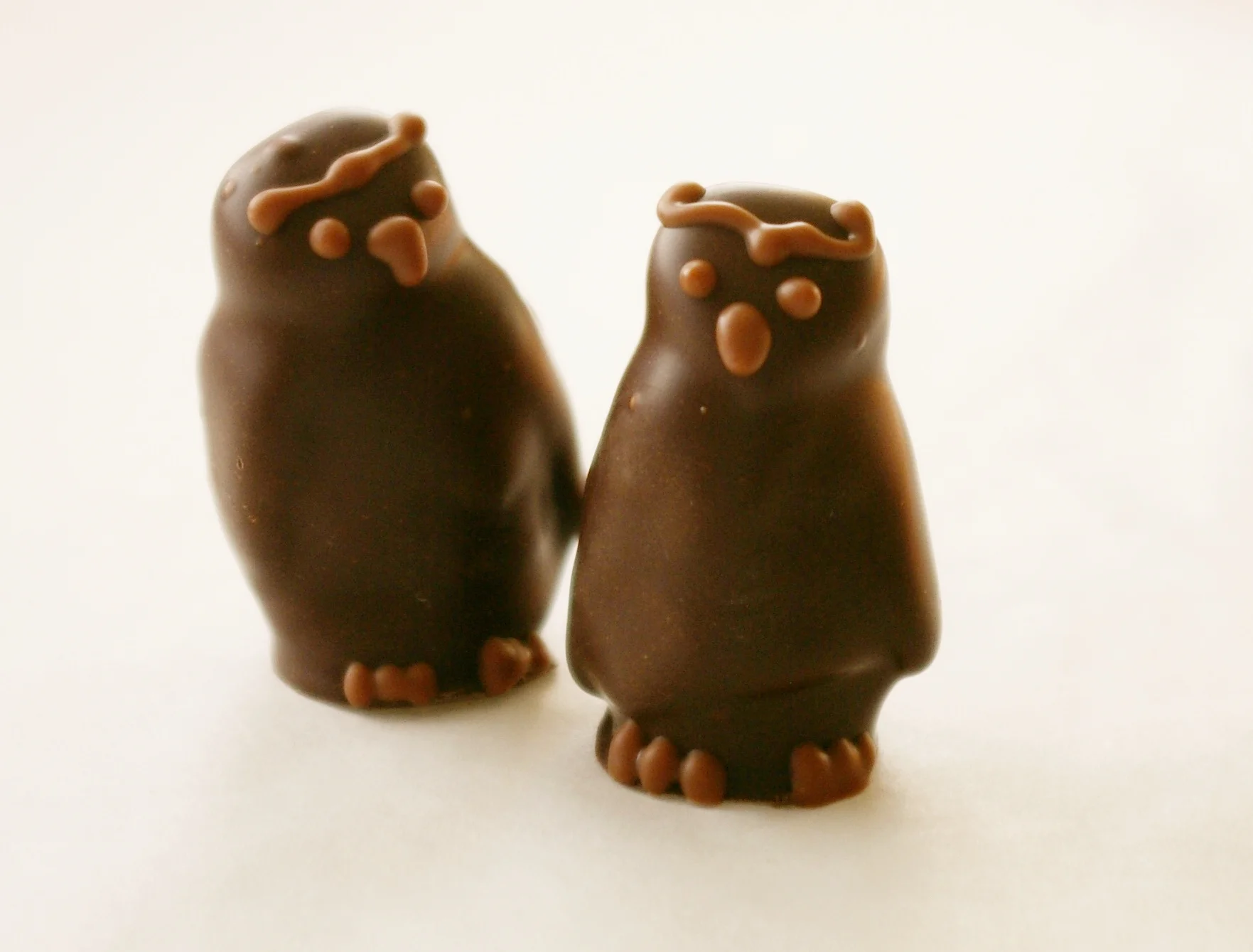Owl Apple Cider Truffle