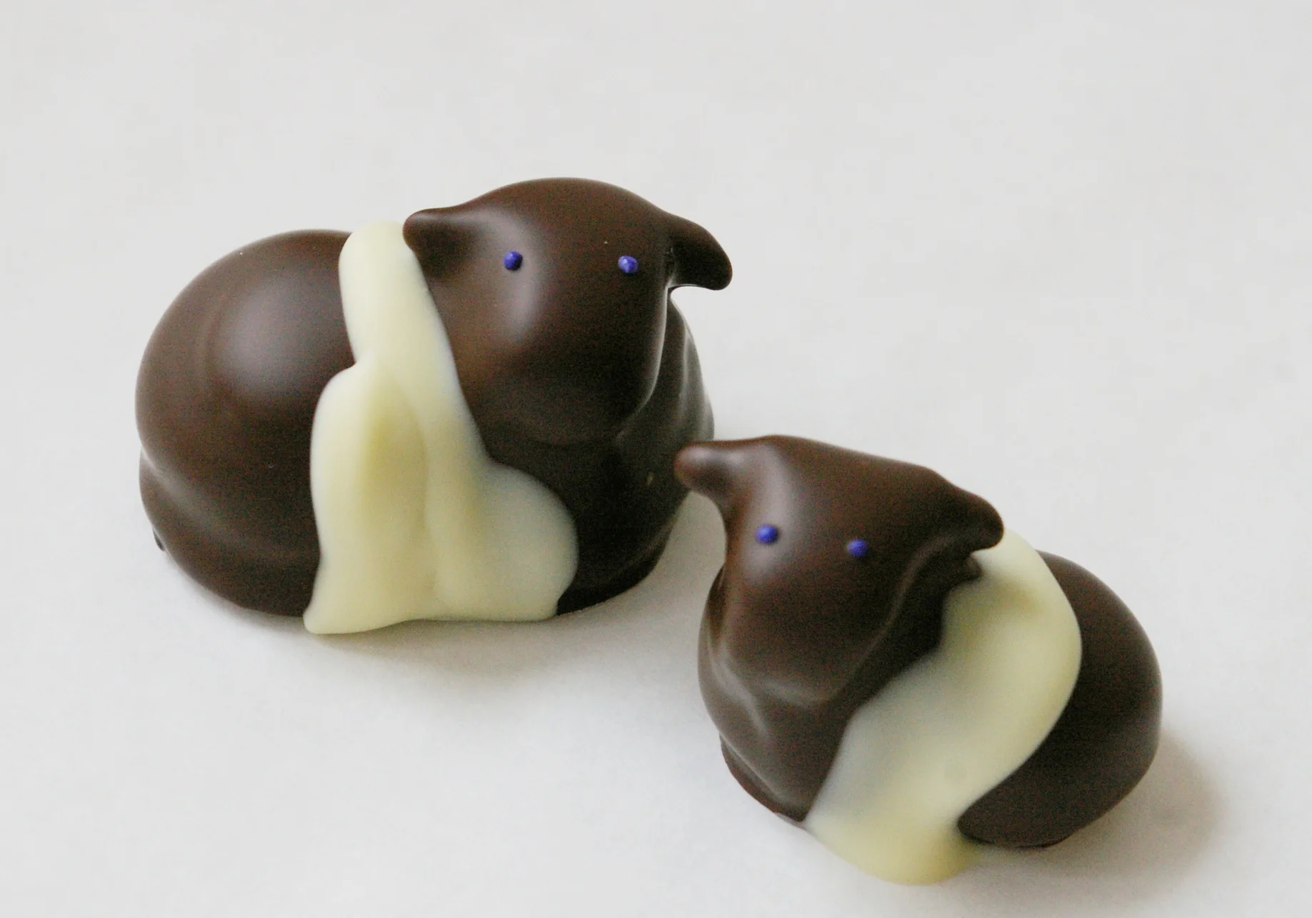 Belted Galloway (Mother's Day) 