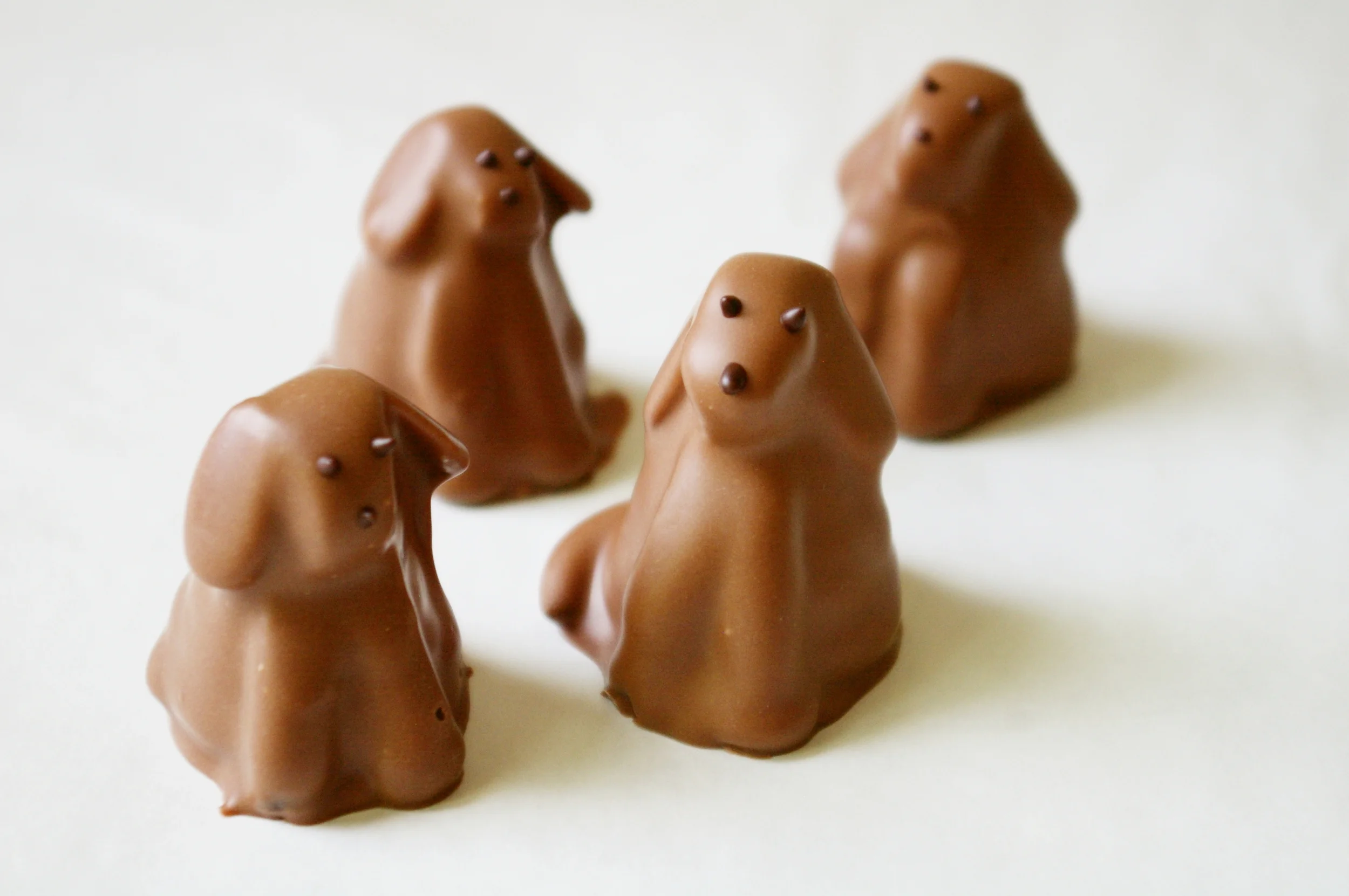 Chocolate Labs (Father's Day)