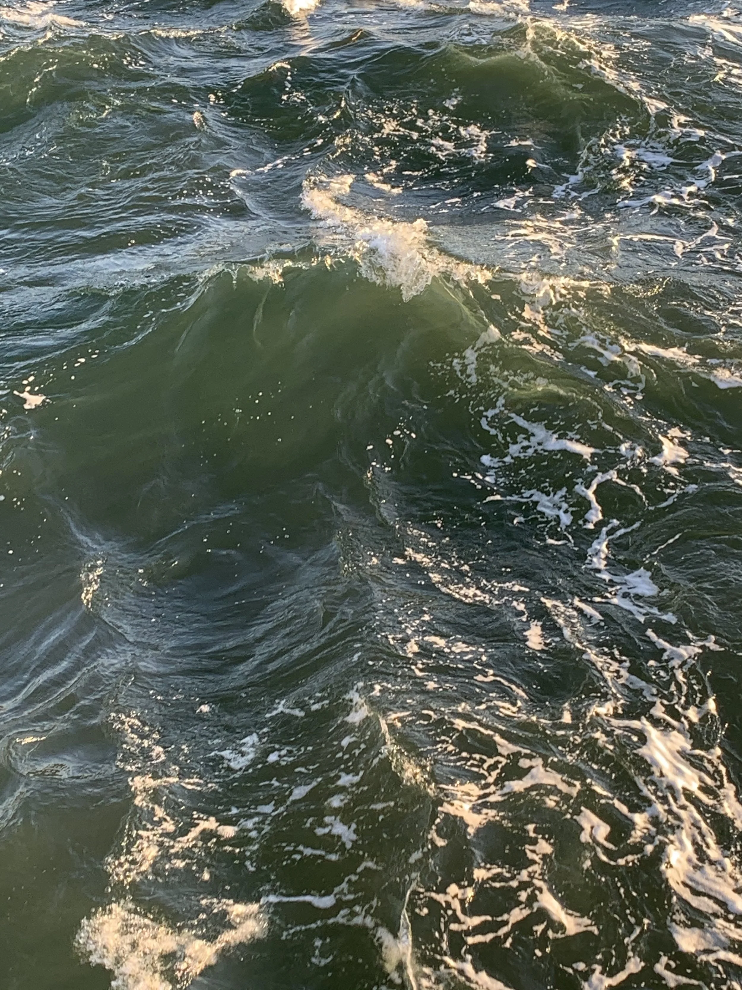 H2O2026