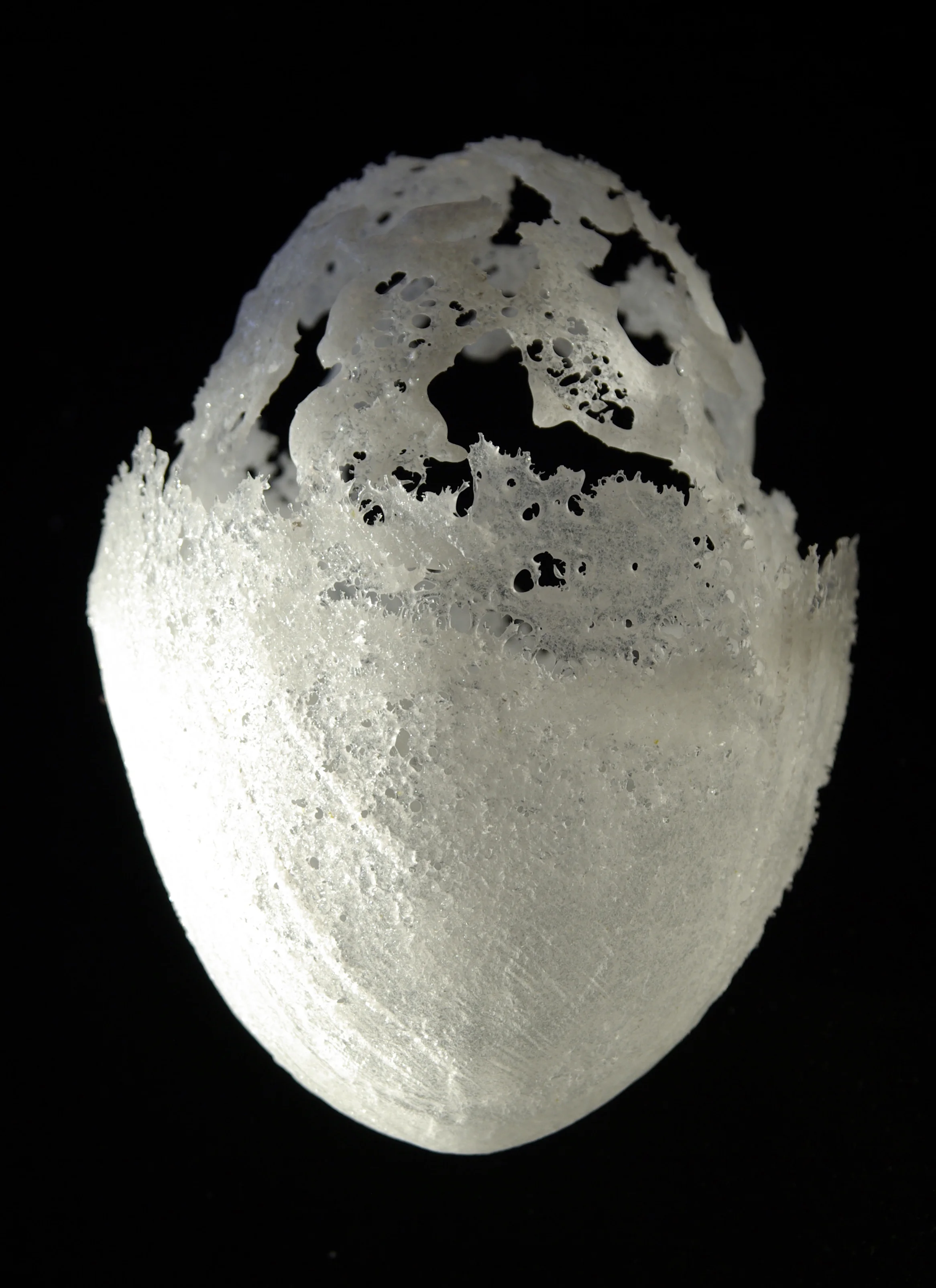 Half an Egg or Empty Shell