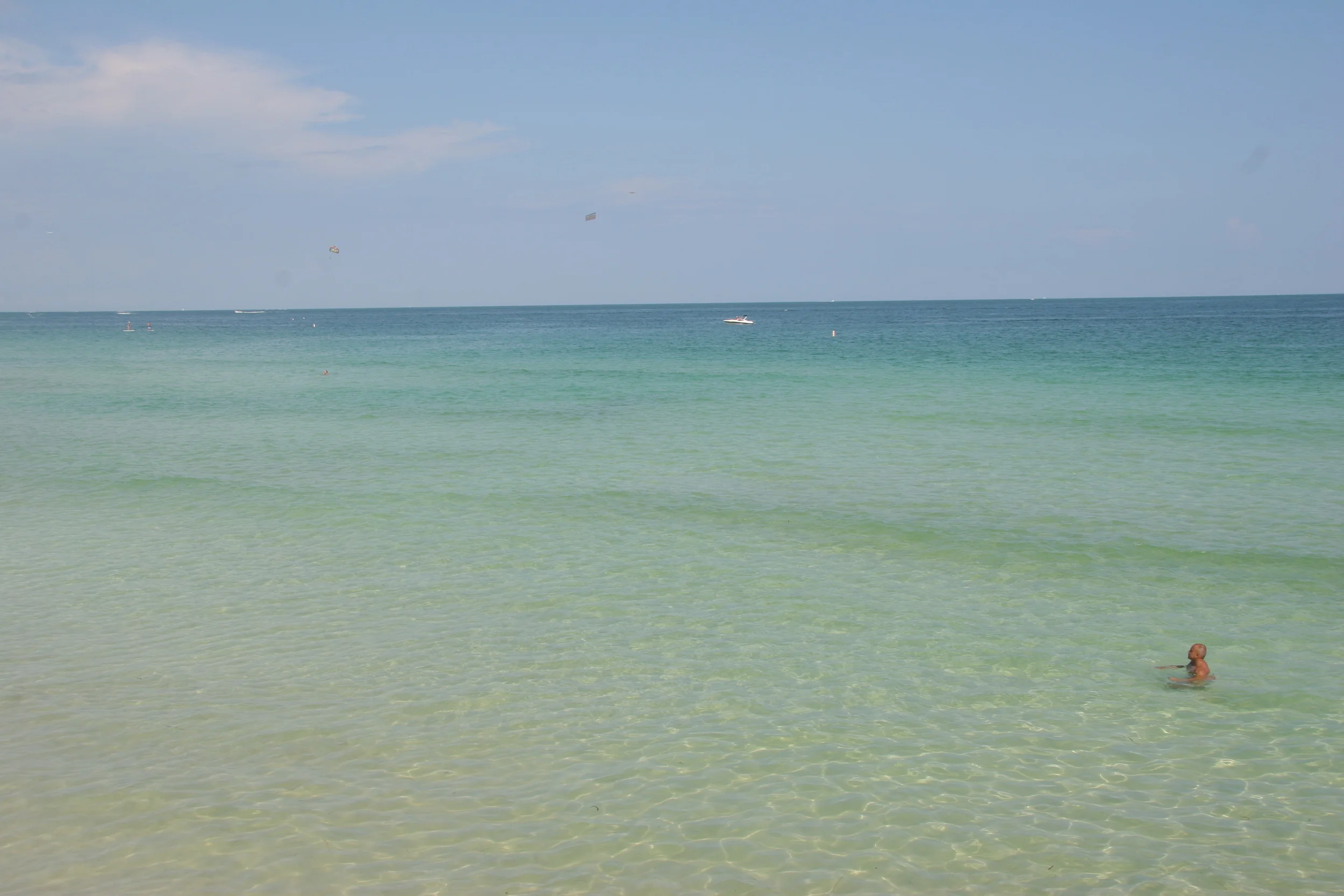 canonD_pictures to file 2009-2010 275.jpg