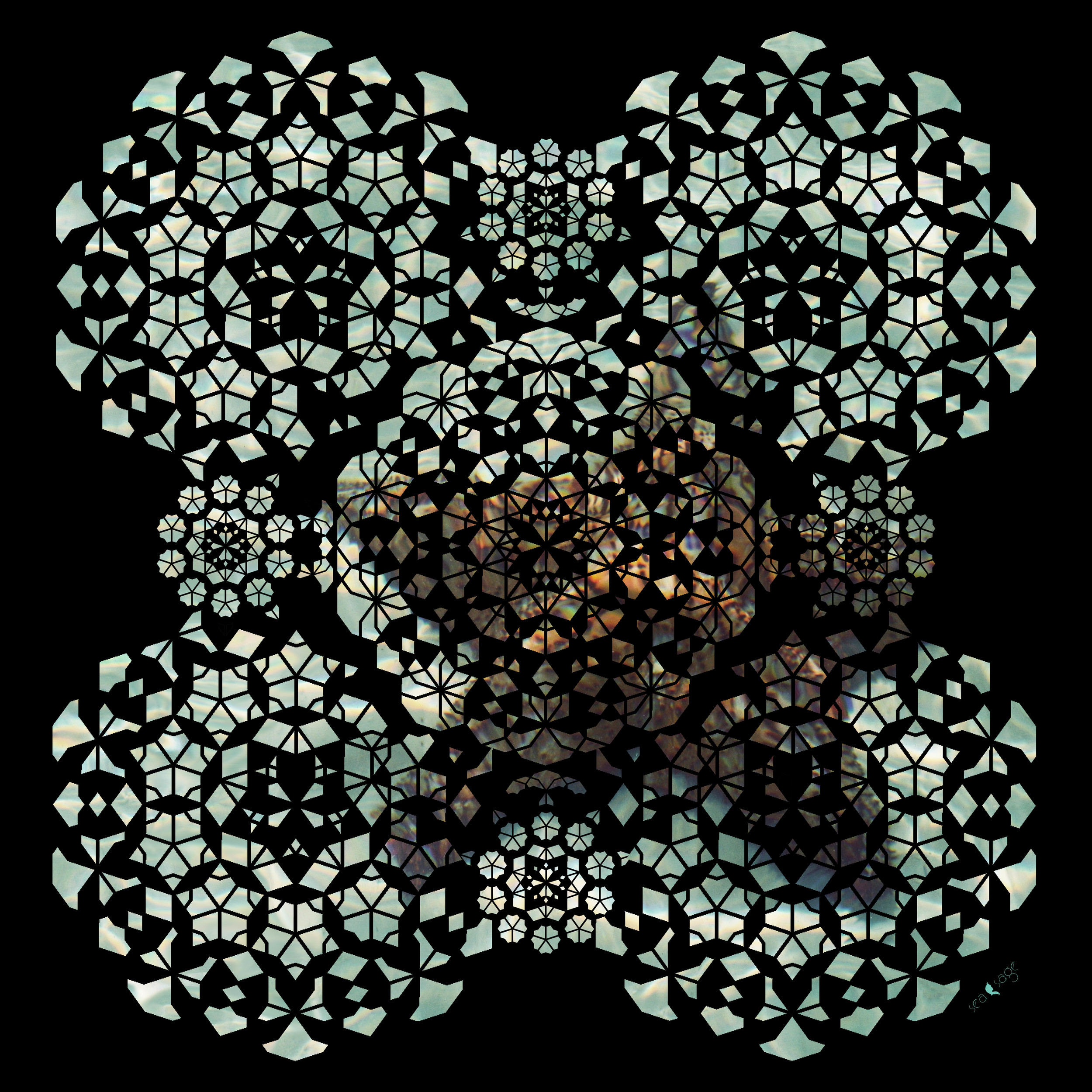 starfishtoprintlowwebsite.jpg