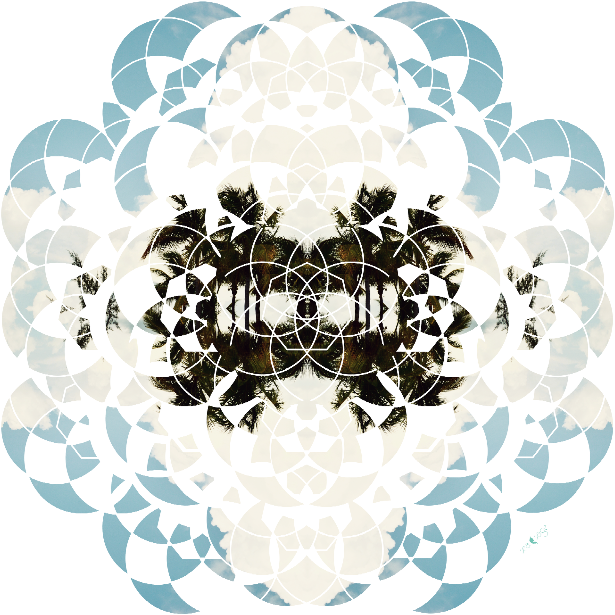 sea sage palms silk scarf