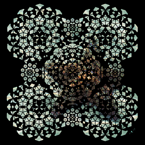 sea sage starfish silk scarf