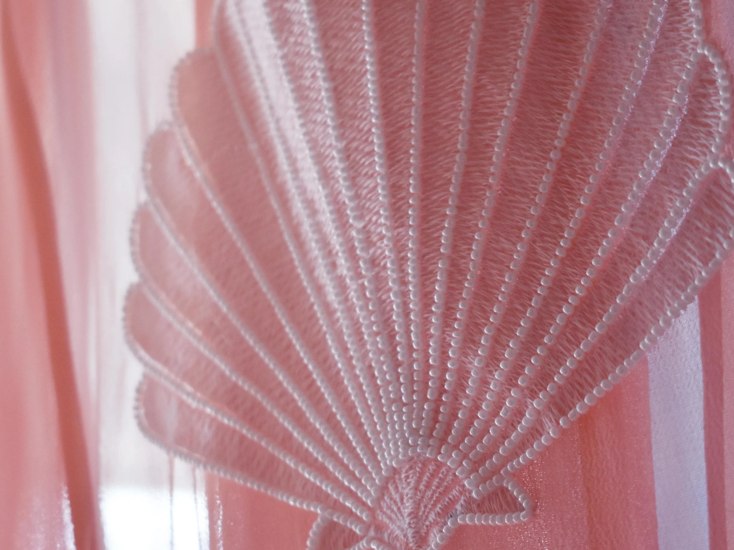 sea_sage_sea_shell_pearly.jpg