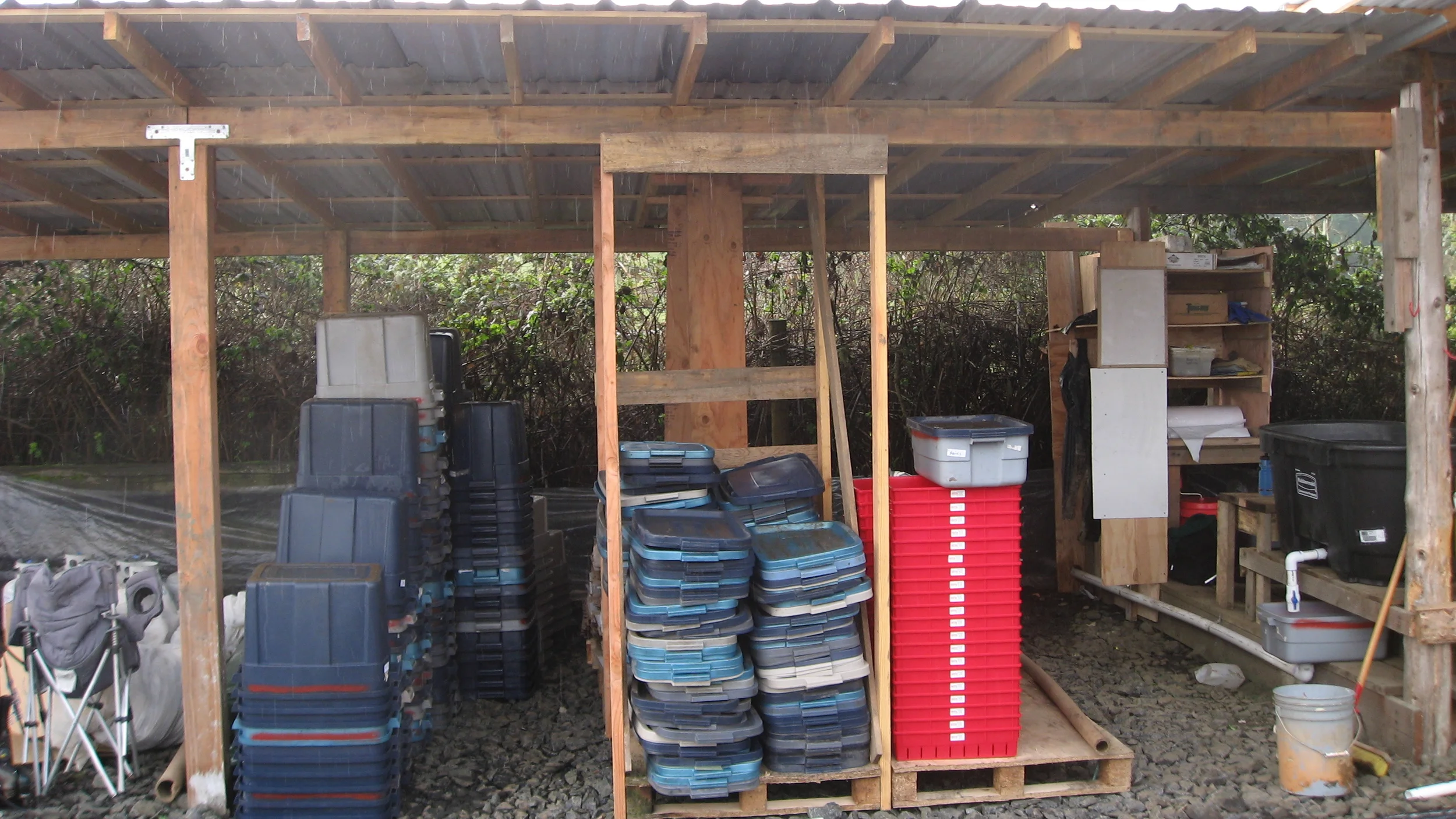 Wash-shed bin storage