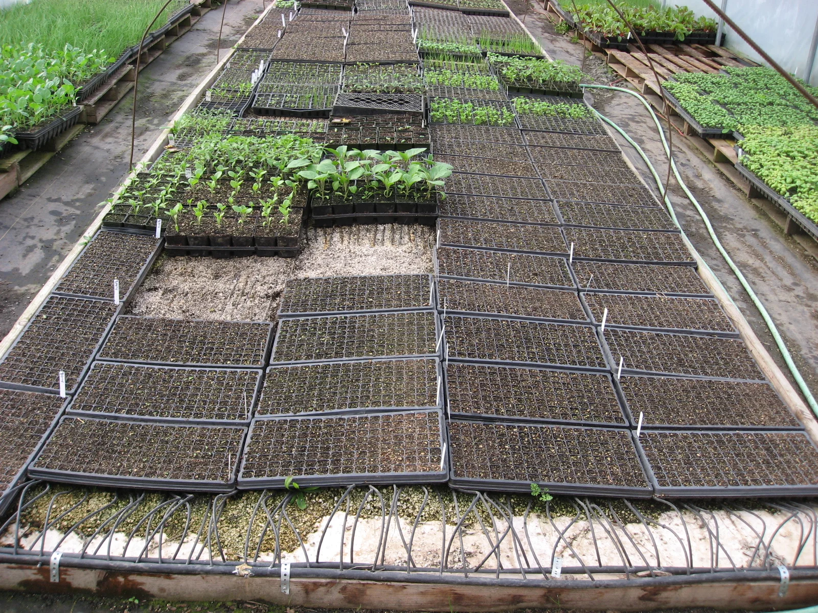 Seed Tray Heating Pad